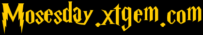Logo.m 2